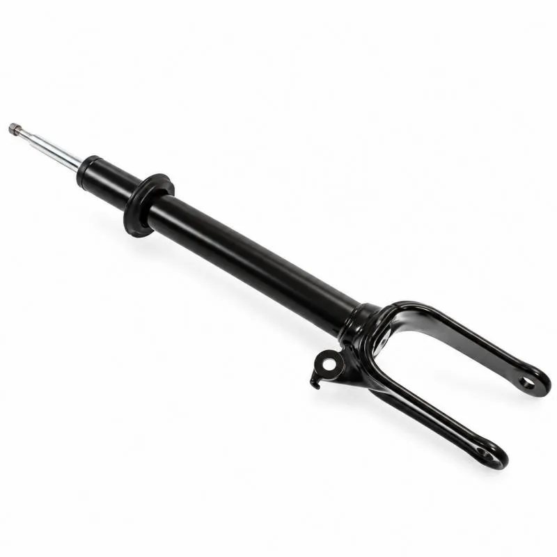 Mercedes-Benz R-CLASS MPV (W251) Front Gas Shock Absorber OE 2513200730