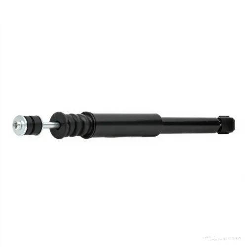 Renault TWINGO II (CN0 ) Suspension Damper 562109412R Rear
